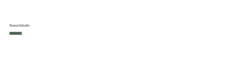 Nuevo Estudio logo